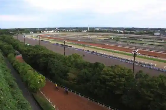 JRA Mihomura Toreningu Center