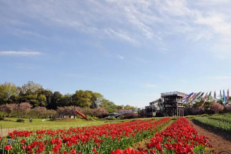 Kihara Joshi Shiroyama Park
