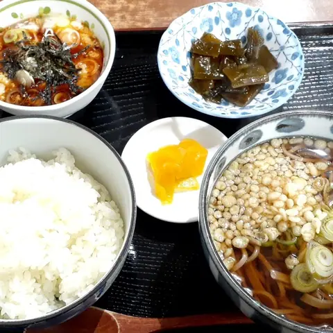 Michi-no-Eki Shonai Mikawa