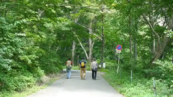 Early-Morning Healing Tour to Ichinokurasawa, Mount Tanigawa