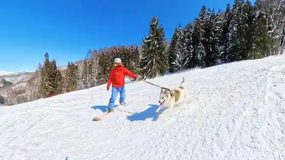 Hodaigi Ski Area