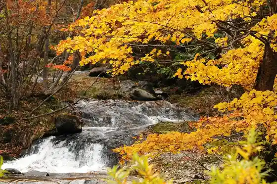 Shoyo Gorge