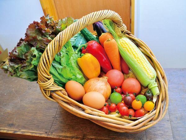 Minamata Organic Market Mojoka-do