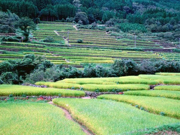 Samukawa Spring
