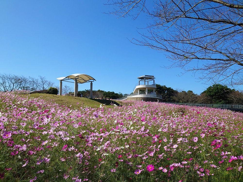 Nakaoyama Park