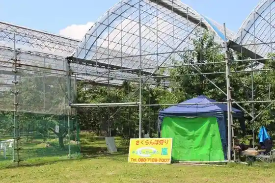 Cherii Garden Arashi