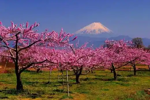 Minami-Alps City Togenkyo