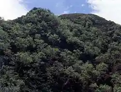 Mount Kotaro