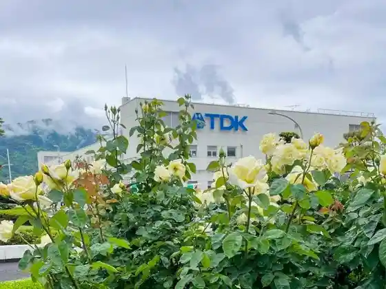Noted Rose Site at TDK Kofu Factory, Minami-Alps City