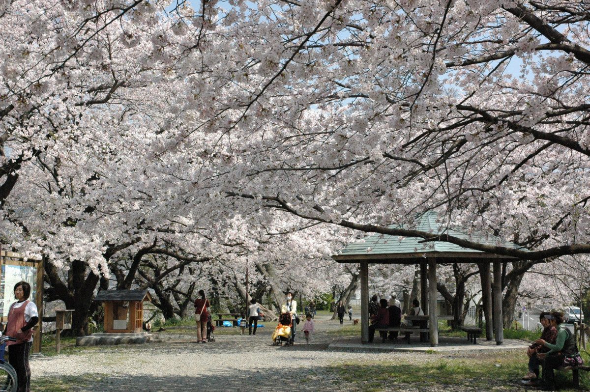 Bunmei Levee