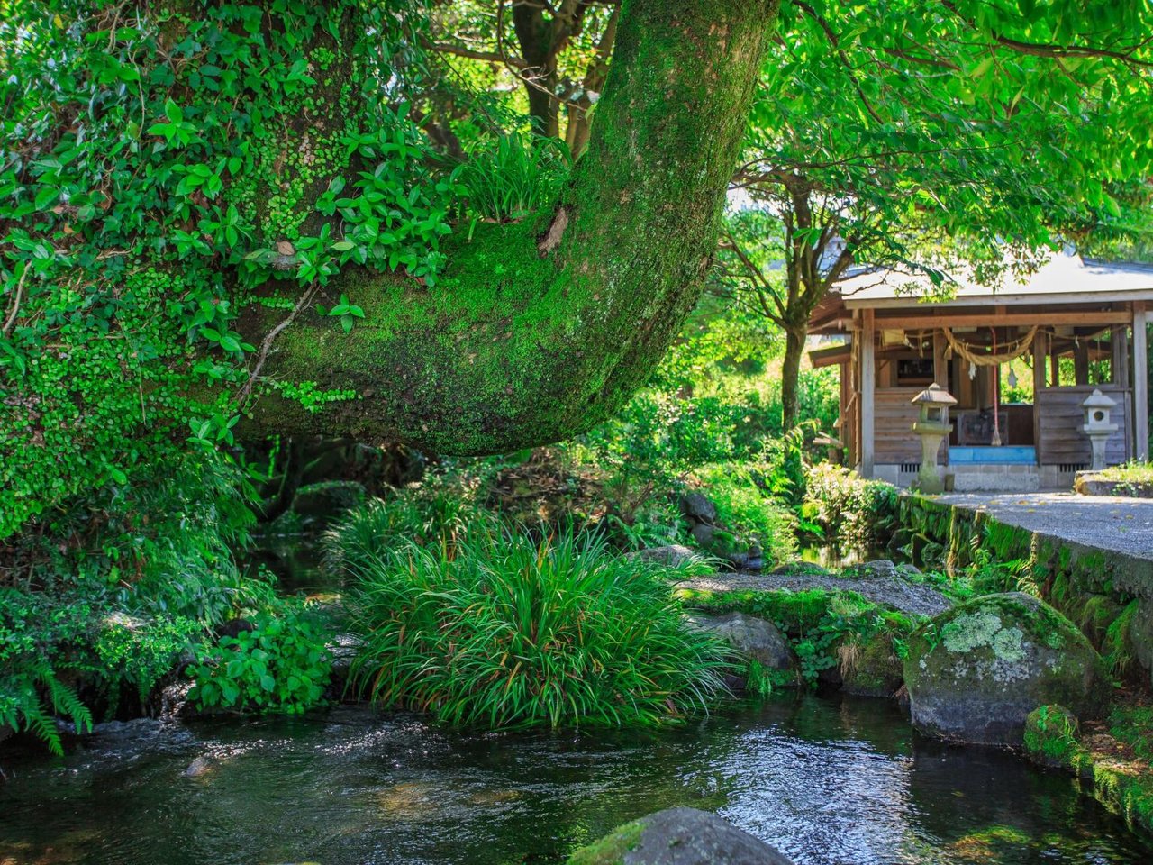 Ikenokawa Spring