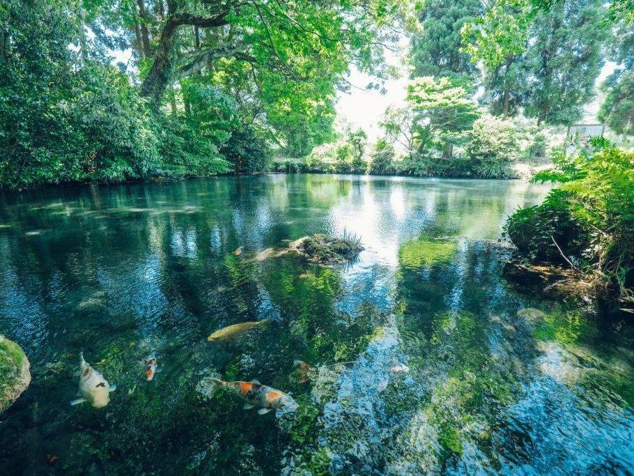 Myojin Pond Famous Water Park