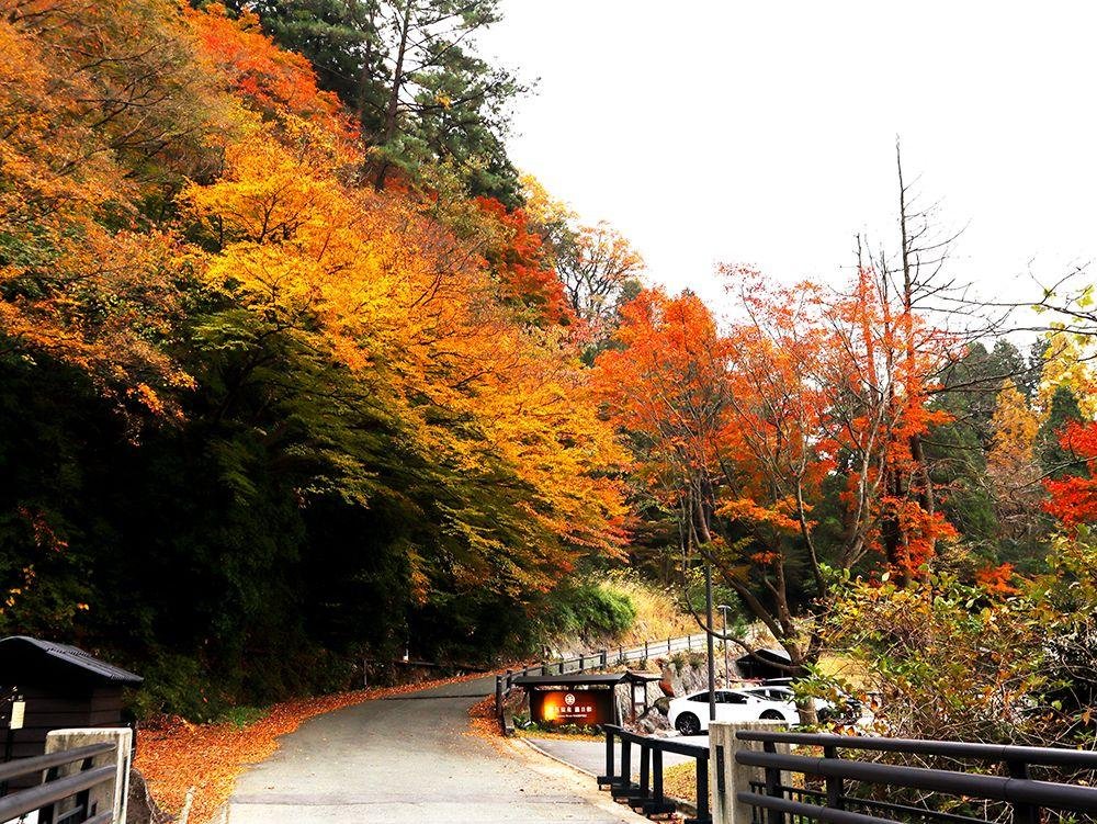 Jigoku-Tarutama Onsen