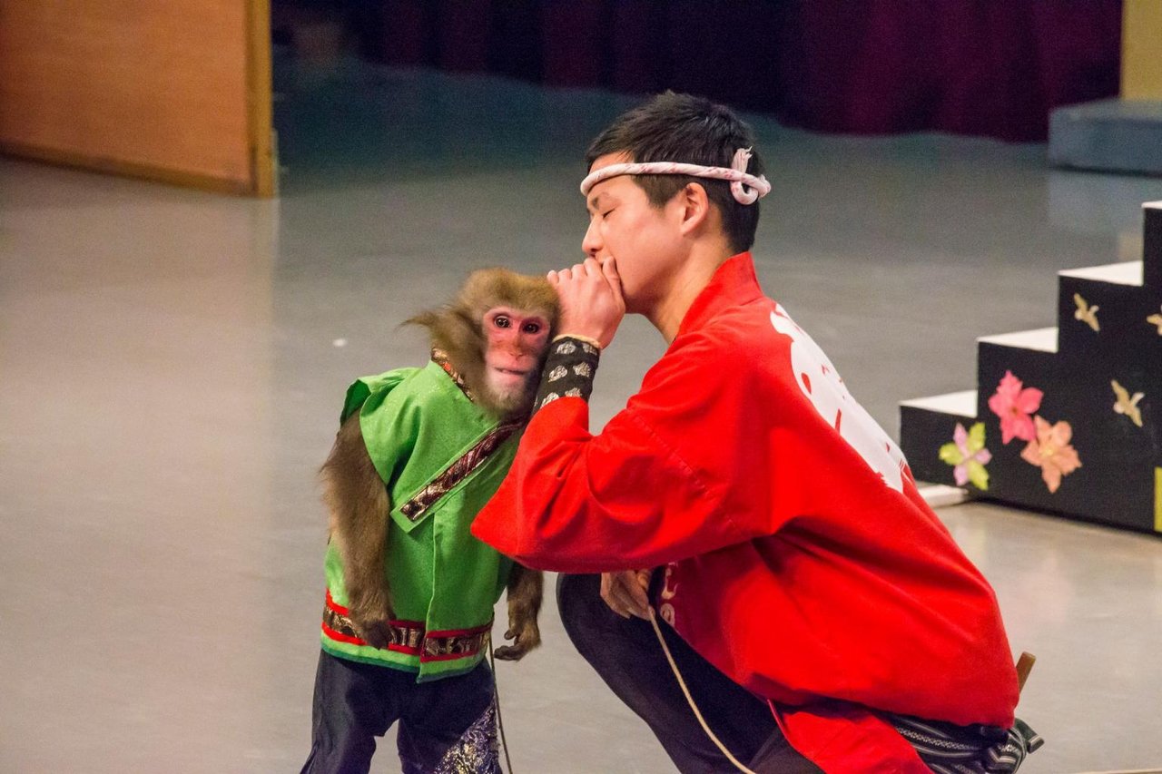Aso Monkey Village Sarumawashi Theater