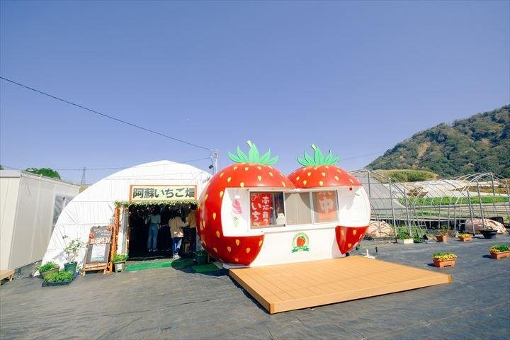 Kinouchi Farm