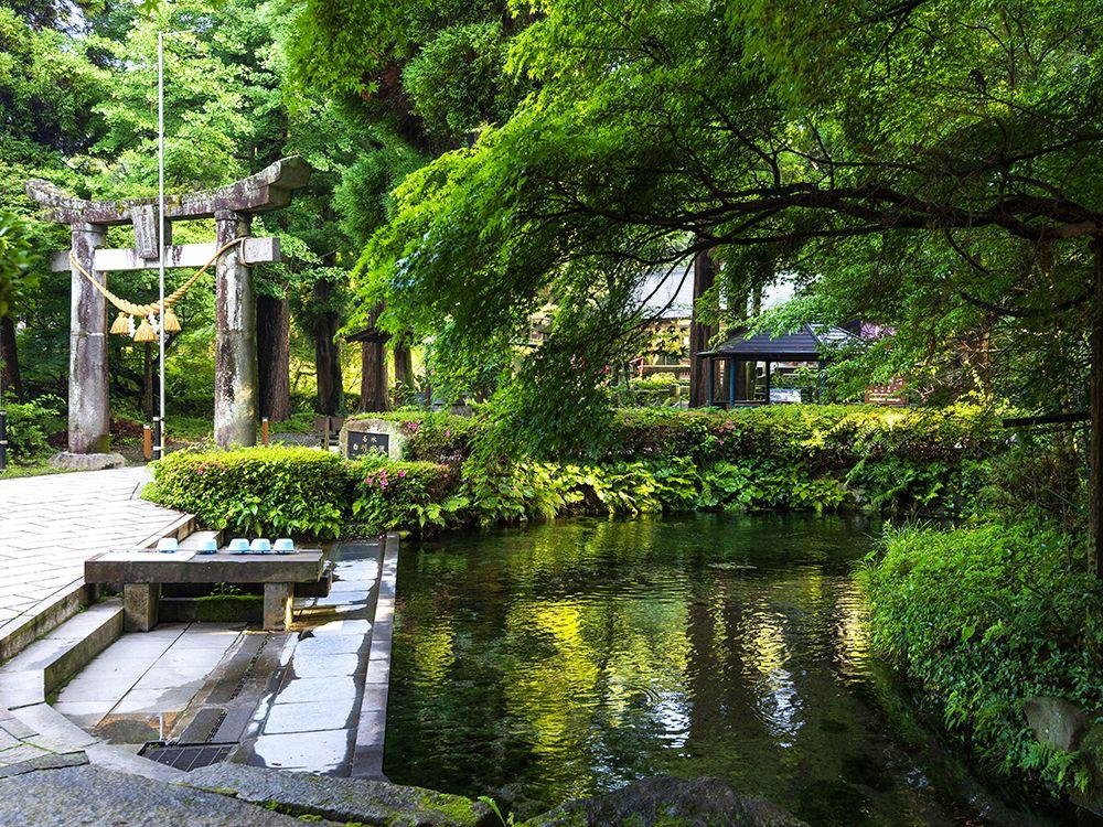 Shirakawa Spring