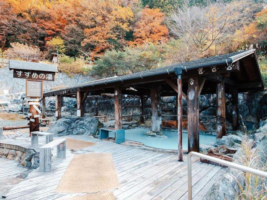 Jigoku Onsen Seifuso