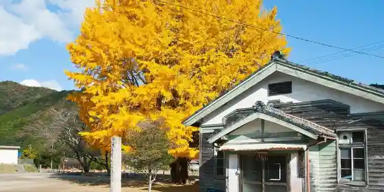 Kawauchi no Oicho (Wakakusa Sono)