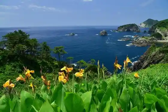 Yusuge Park