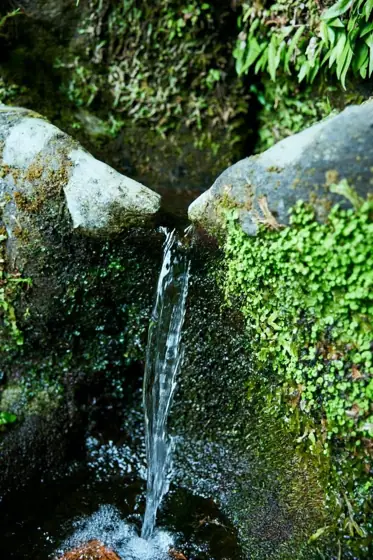 Shimizu Spring