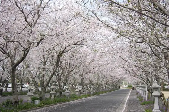 Chiran Peace Park