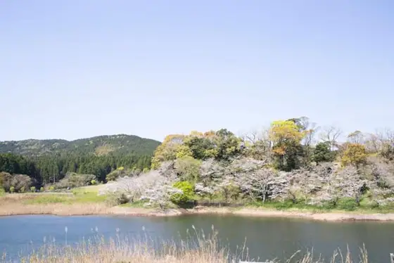 Tomoike Park