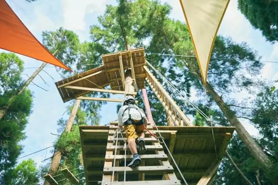 Mori no Kawanabe Adventure Park