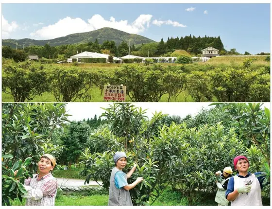 Totsukawa Farm