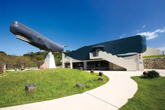 Hill Where Whales Sleep and Stranded Whale Monument