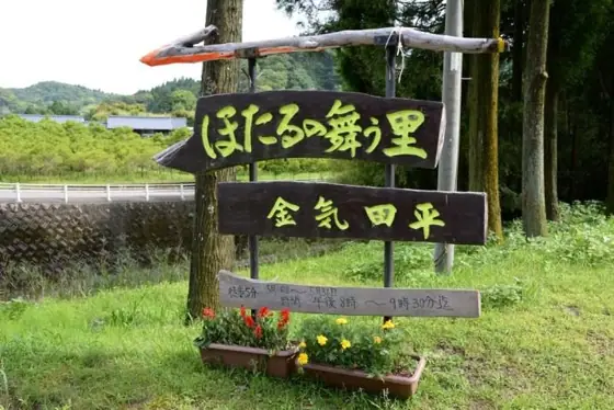 Uchiyamada Fireflies in Kaseda