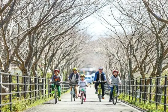 Rinrin Road