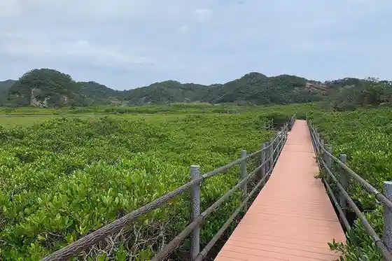 Tanegashima Mangrove Park