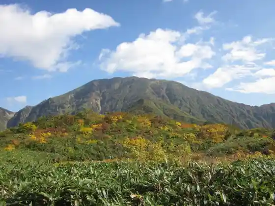 Naka no Gaku