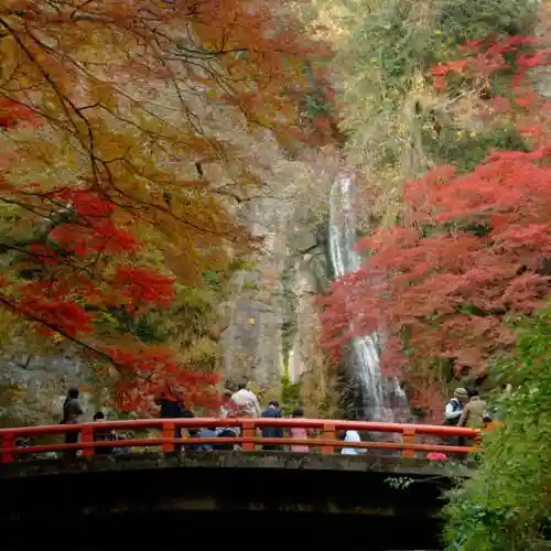 Meiji Forest Minoh Kokutei Park (Minoh Otaki)