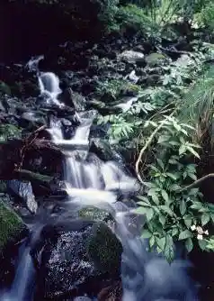 Sawakawa Gorge