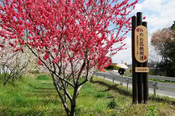Shinshu Minowa Flower Road