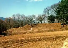 Fukuyo Castle Ruins