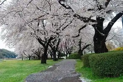 Mi no Wa Tenryu Park