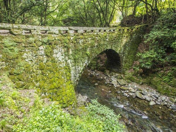 Makado Bridge