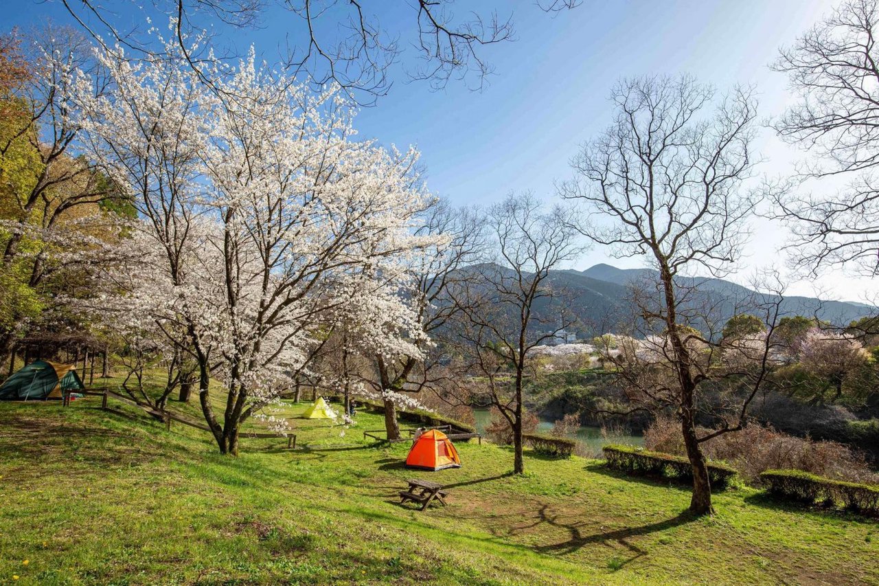 Misato Forest Campsite Garden Place