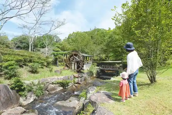 Mitake Forest and Kinpo Fureai Forest
