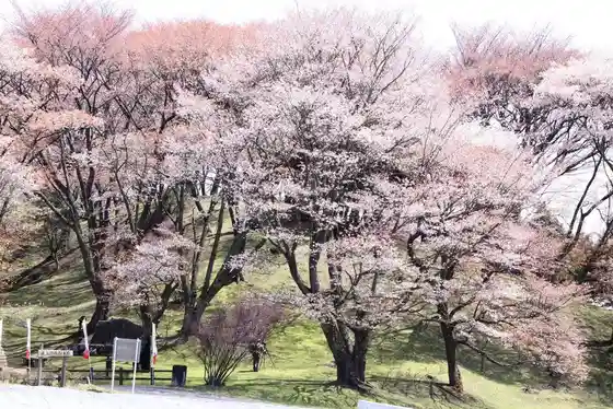 Maruyama Park