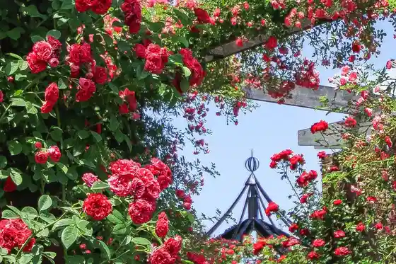 Mitsuke Ingurisshu Garden