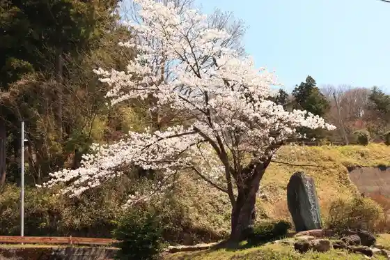 Nitta Park
