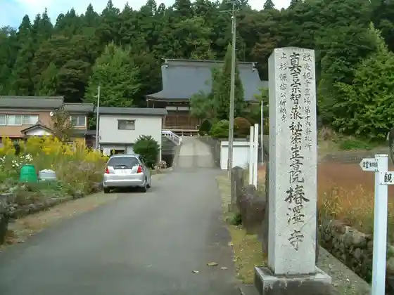 Tsubaki Sawa Tera