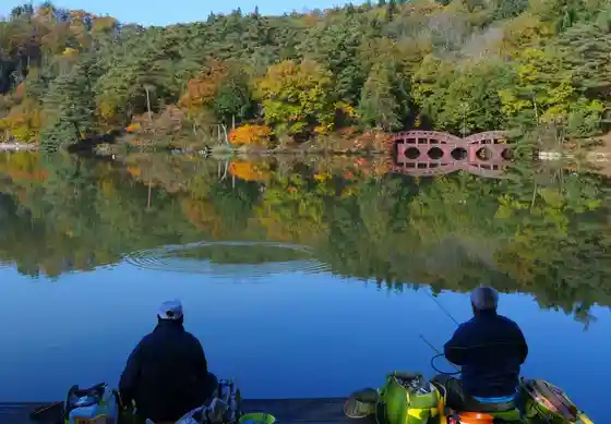 Ohira Forest Park