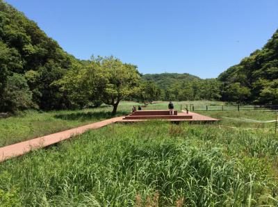 Enoki Terrace