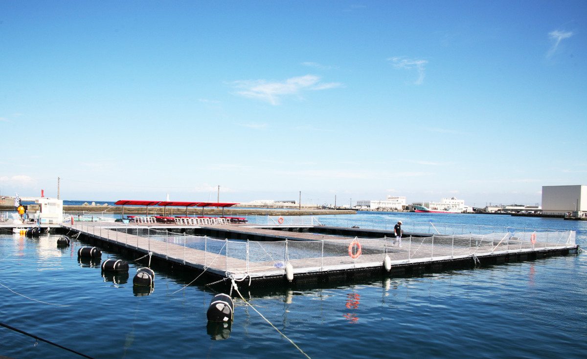 Jogashima Sea Cage Fishing Pond J's Fishing