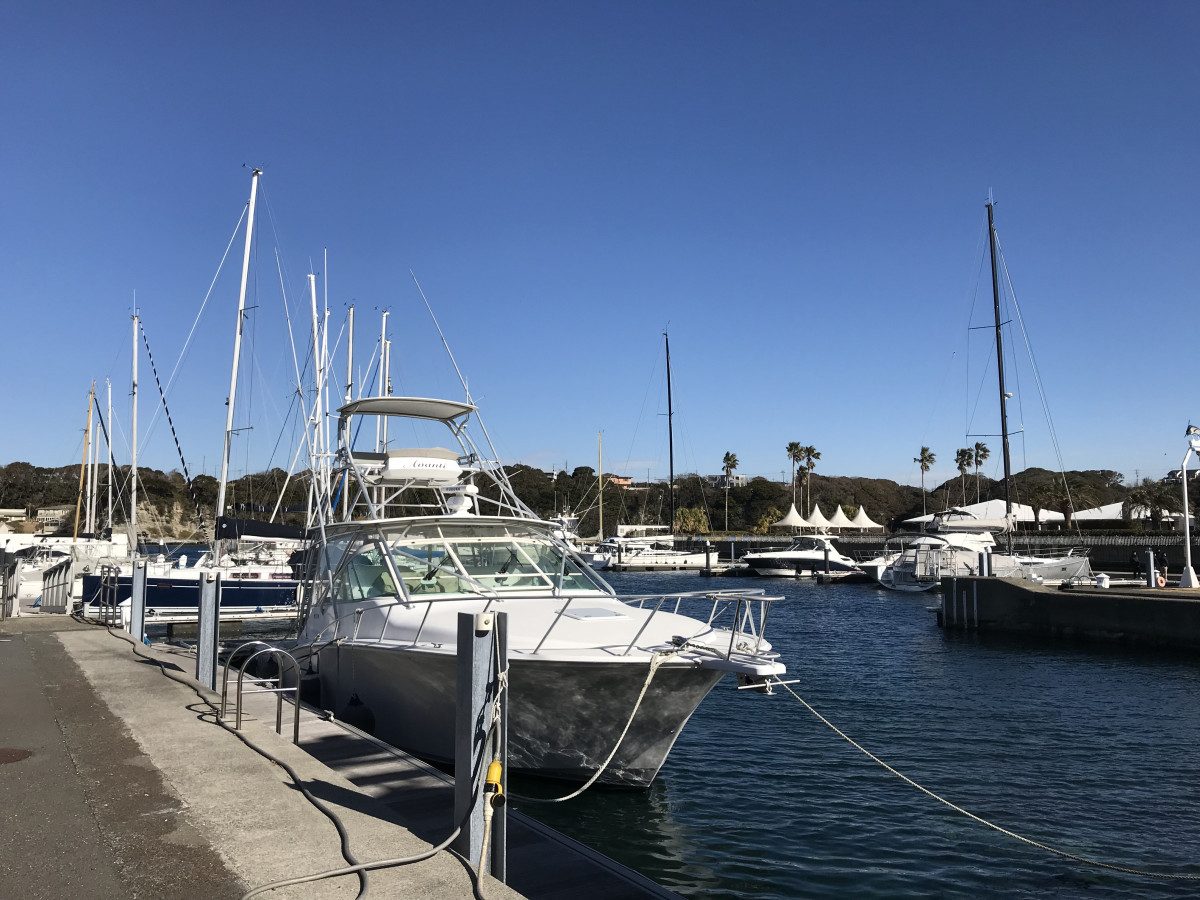 Koajiro Seabornia Marina Sea Station