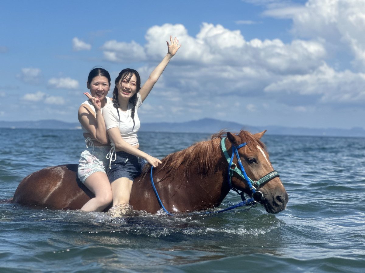 Miura Kaigan Horse Trekking Farm